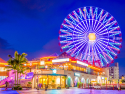 themePark